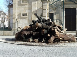Pel malvadez 01.jpg